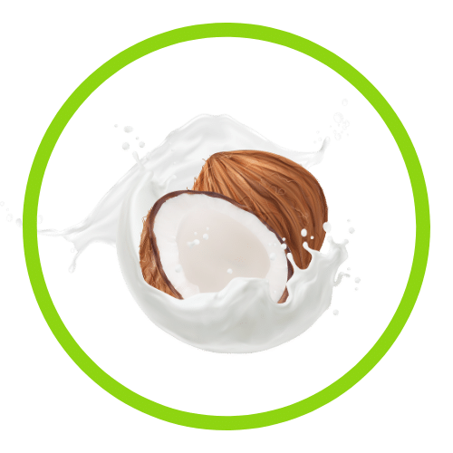 QIT products Flavor - Coconut milk