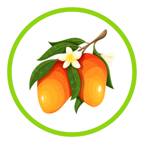 QIT Flavor - Mango