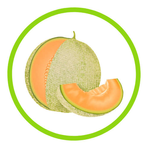 QIT products Flavor - Melon