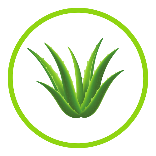 QIT products Flavor - Aloe Vera - Orginal
