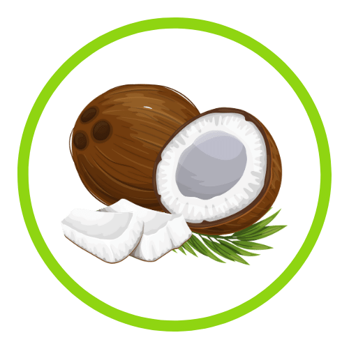 QIT products Flavor - coconut