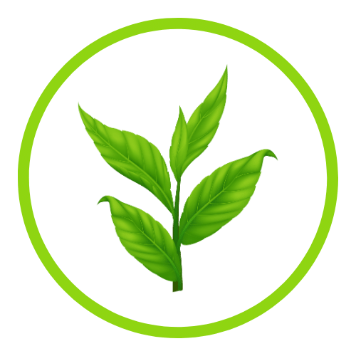 QIT products Flavor - green tea