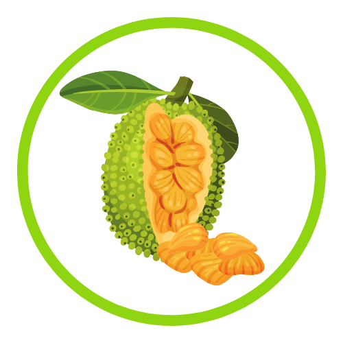 QIT products Flavor - jackfruit